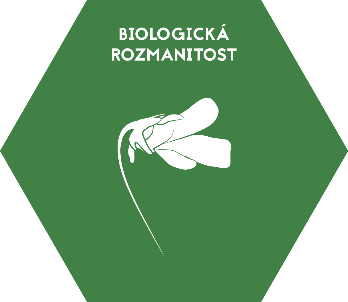 3.2-Biologicka-rozmanitost.png