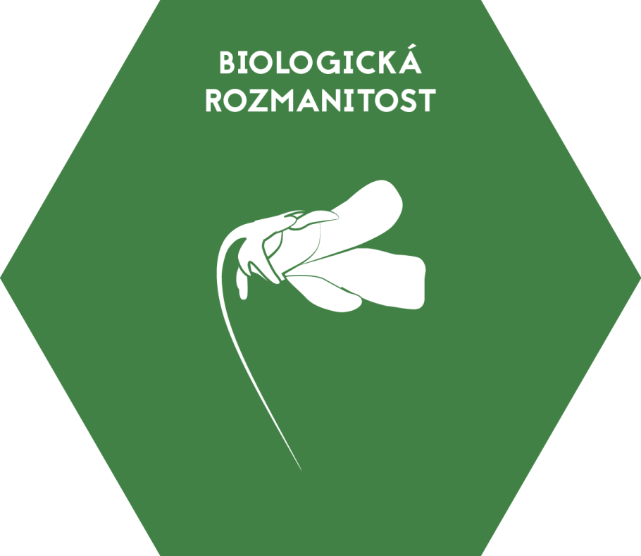 3.2-Biologicka-rozmanitost.png