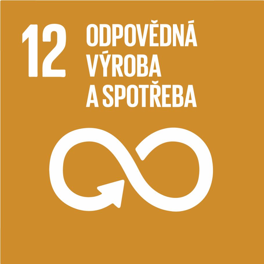 SDG12-01.png