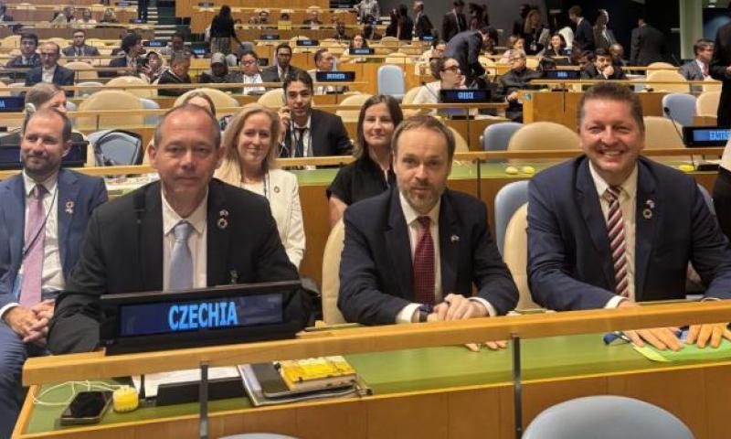 delegace