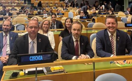 delegace