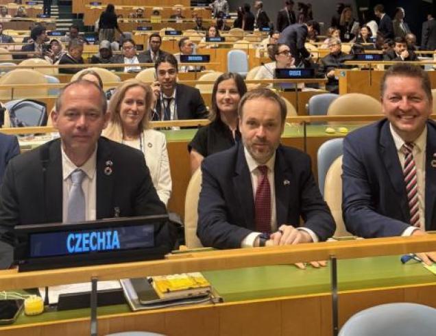delegace